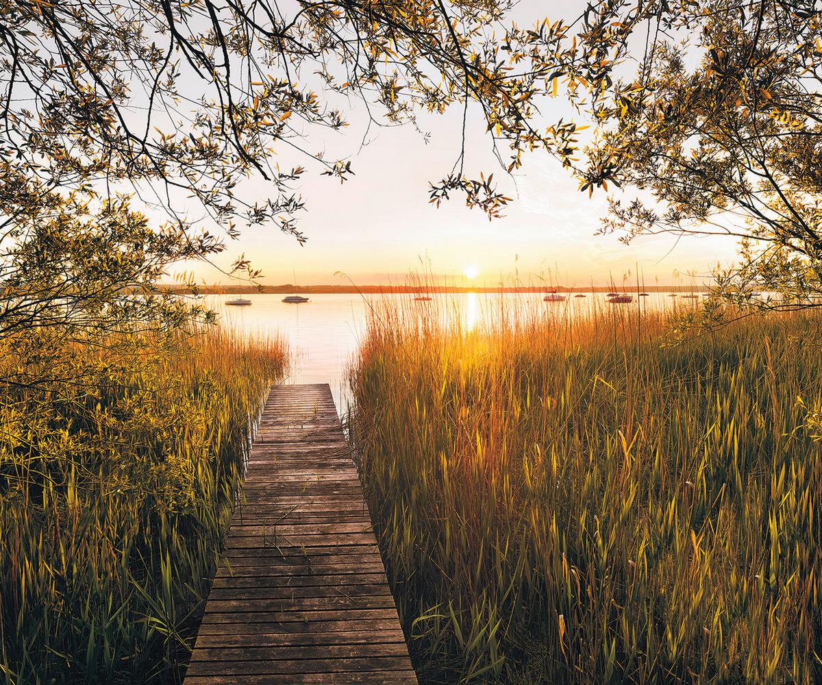 Vliestapete Sh077-Vd3 Lakeside - Natur (300/250cm)