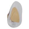 LED-Wandleuchte 78411m Dorsey - Klar/Messingfarben, Design, Glas/Metall (20,3/31,5cm) - Globo