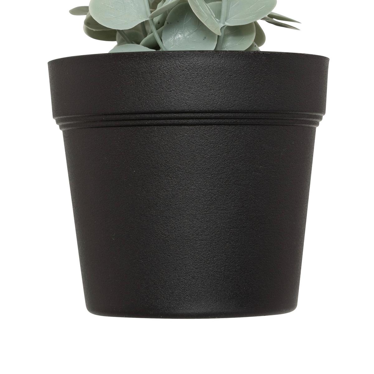 Umelá rastlina EUKALYPTUS - čierna/zelená, Basics, plast (18/51/13cm) - Mömax