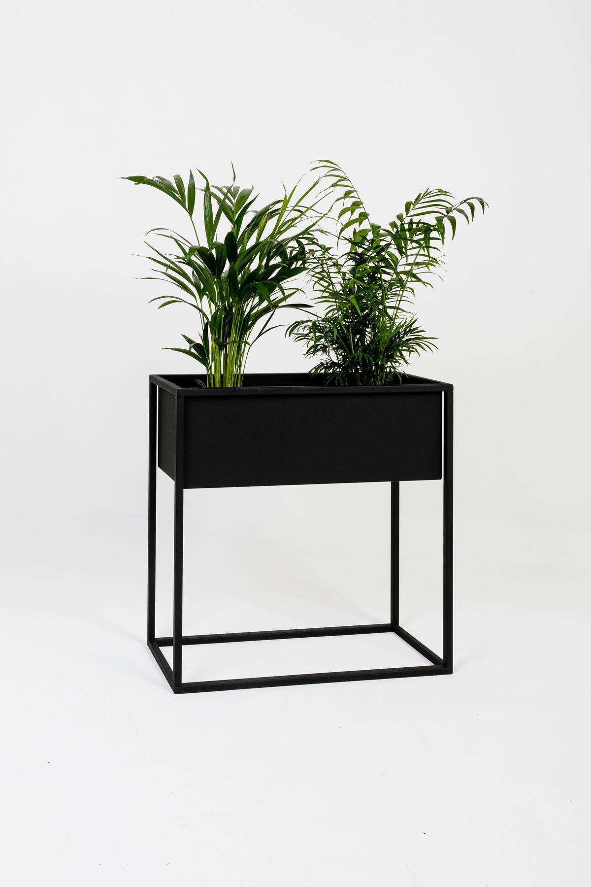 Blumenständer Metall Schwarz Bxhxt: 60x23x60 Cm - Schwarz, Basics, Metall (60/23/60cm)