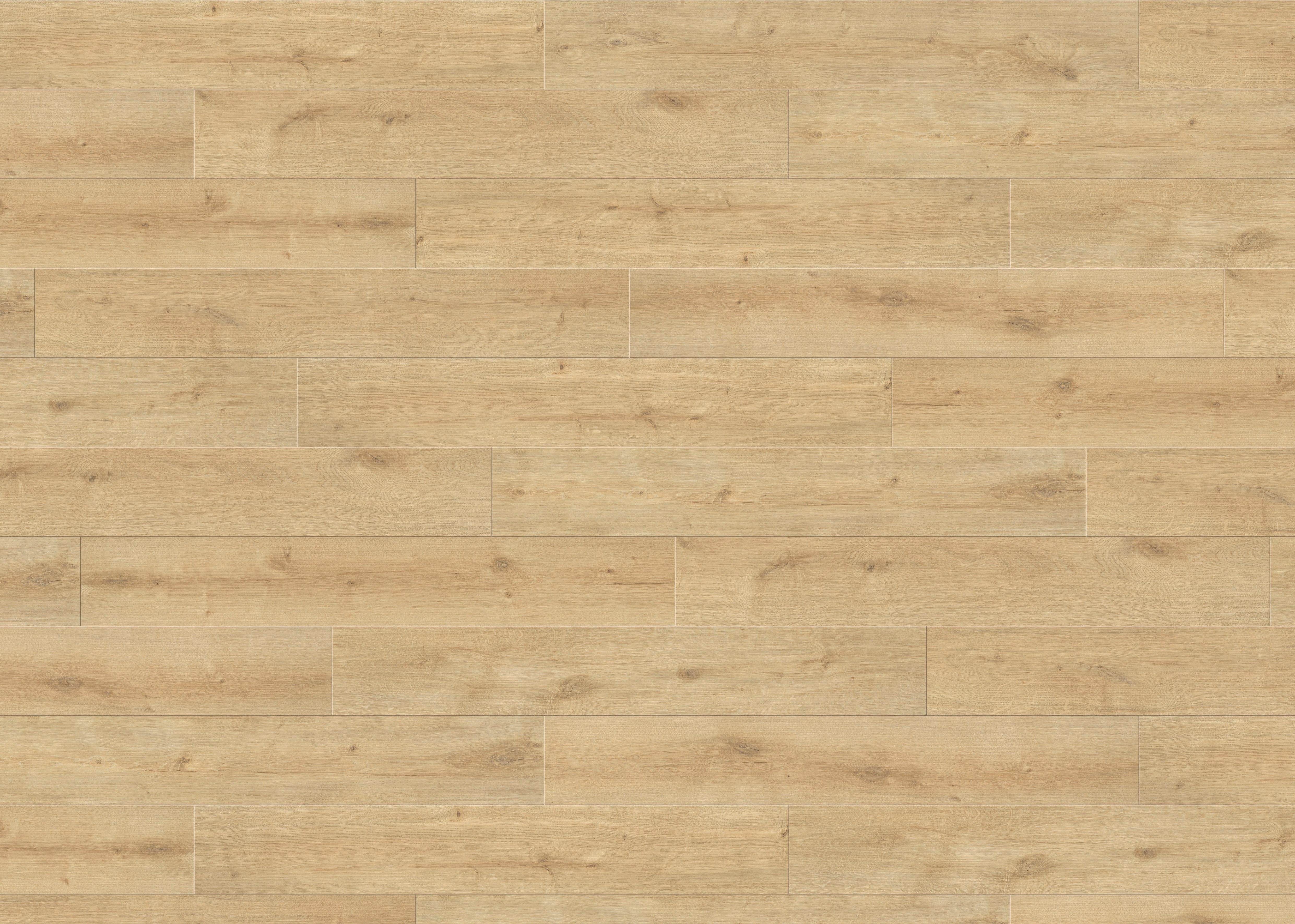 Laminatboden La Eiche Siena Puro Str. Matt - Hellbraun, Basics, Holzwerkstoff (19.3/128.2cm) - Living by HARO