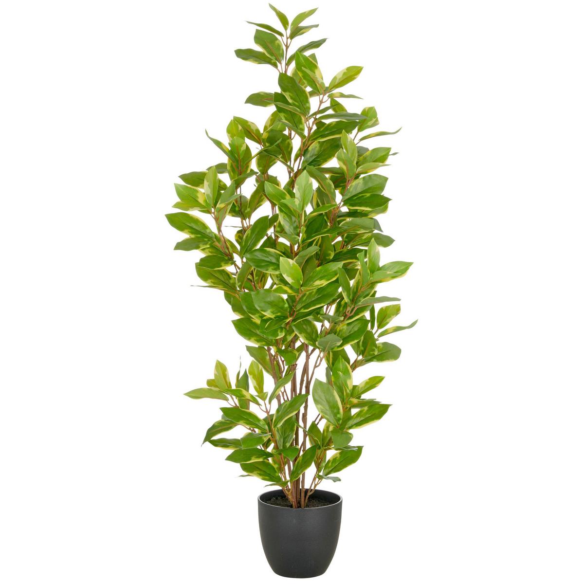 Kunstpflanze Epipremnum Aureum Kunststoff, Grün, H: 90 Cm - Schwarz/Braun, Basics, Kunststoff (90cm) - P & B