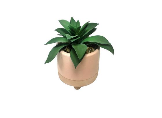 Umelá Rastlina Sukkulente - zelená/ružová, plast/keramika (10,5/13cm) - Mömax modern living Umelá Rastlina Sukkulente - zelená/ružová, plast/keramika (10,5/13cm) - Mömax modern living