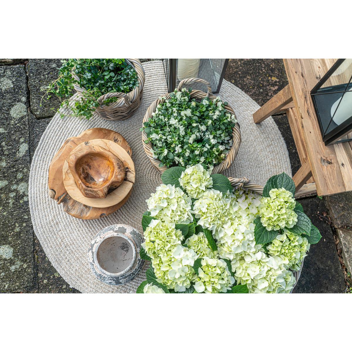 Obstschale Rio Teakfarben B: 40 cm - Teakfarben, Design, Holz (40/12/40cm)