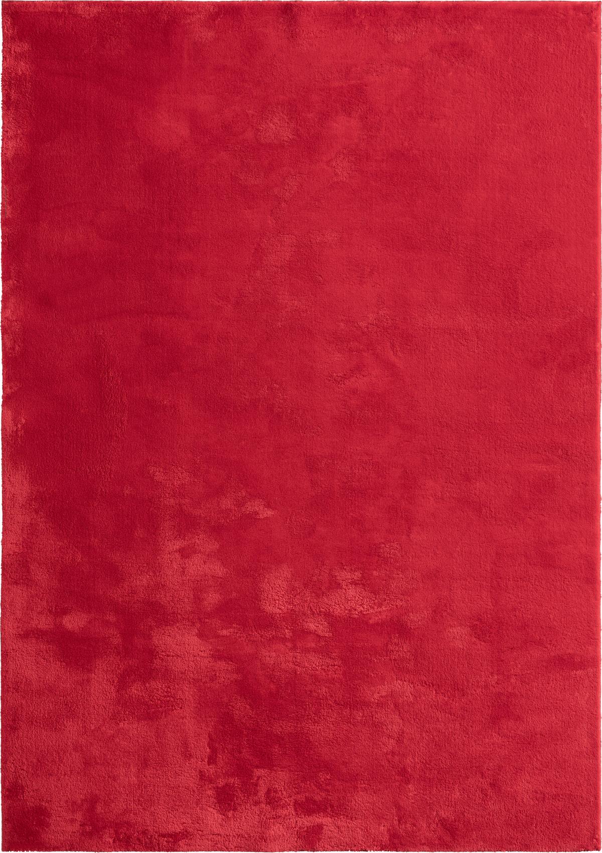 Fellteppich Loft - Rot, KONVENTIONELL, Textil (240/340cm)