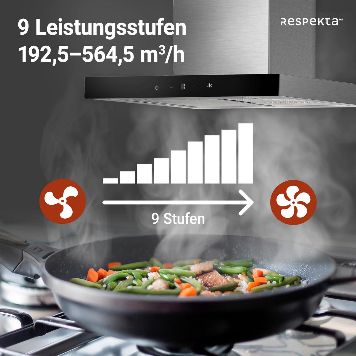 Dunstabzugshaube Respekta Sira Edelstahlfarben B: 59,5 cm - Edelstahlfarben, Basics, Metall (59,5/55-100/50cm) - Respekta