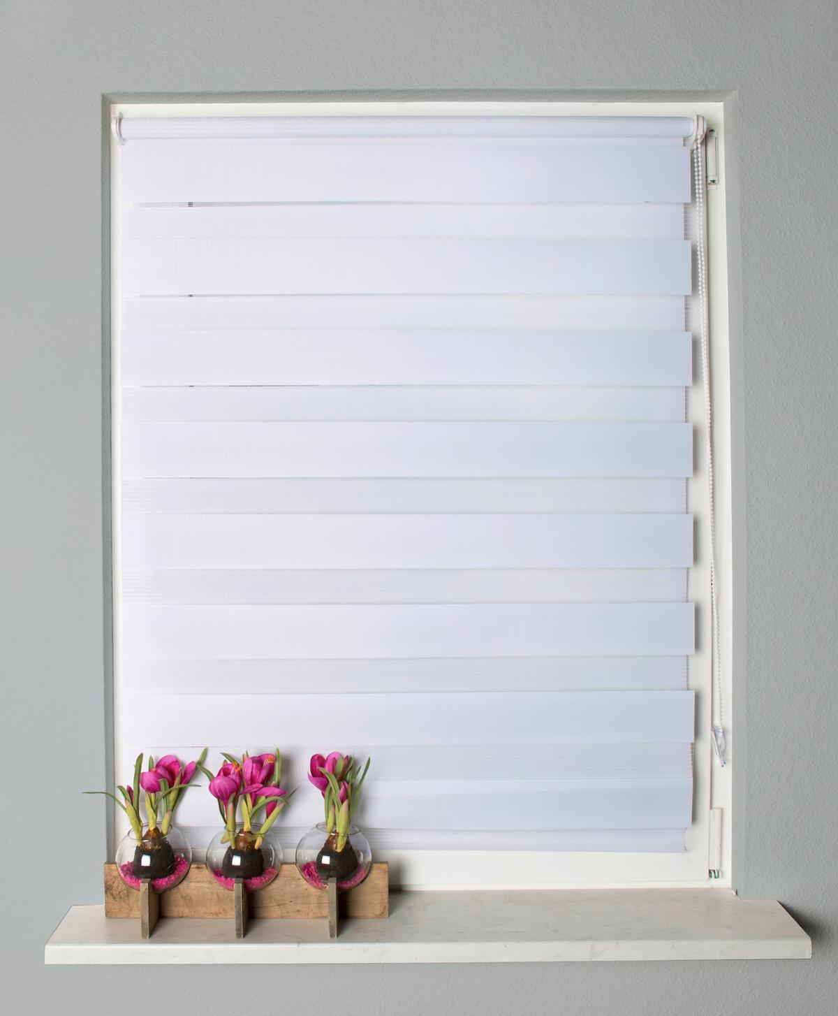 Doppelrollo Weiß B: 60 Cm - Weiß, Design, Textil (60/150cm)