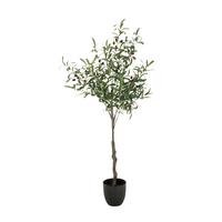 Kunstpflanze Olive - Schwarz/Braun, Basics, Kunststoff (45/120/45cm) - MID.YOU