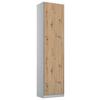Drehtürenschrank Alabama Extra Hellgrau B: 47 Cm - Hellgrau/Eiche Artisan, MODERN, Holzwerkstoff (47/229/54cm)