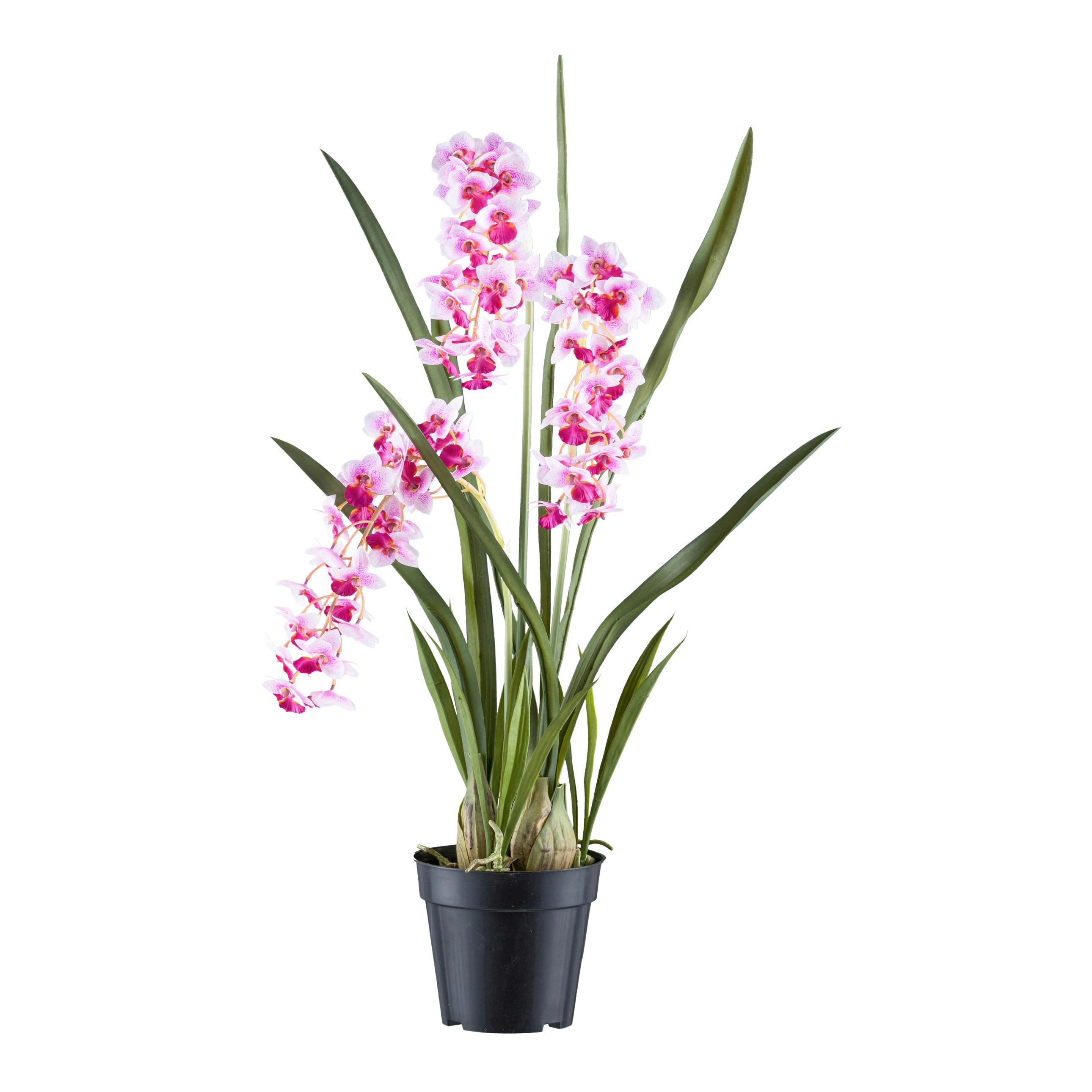 Kunstpfalnze Orchideen Rosa/Weiß, 80 cm - Schwarz/Rosa, Design, Kunststoff (80cm) - P & B