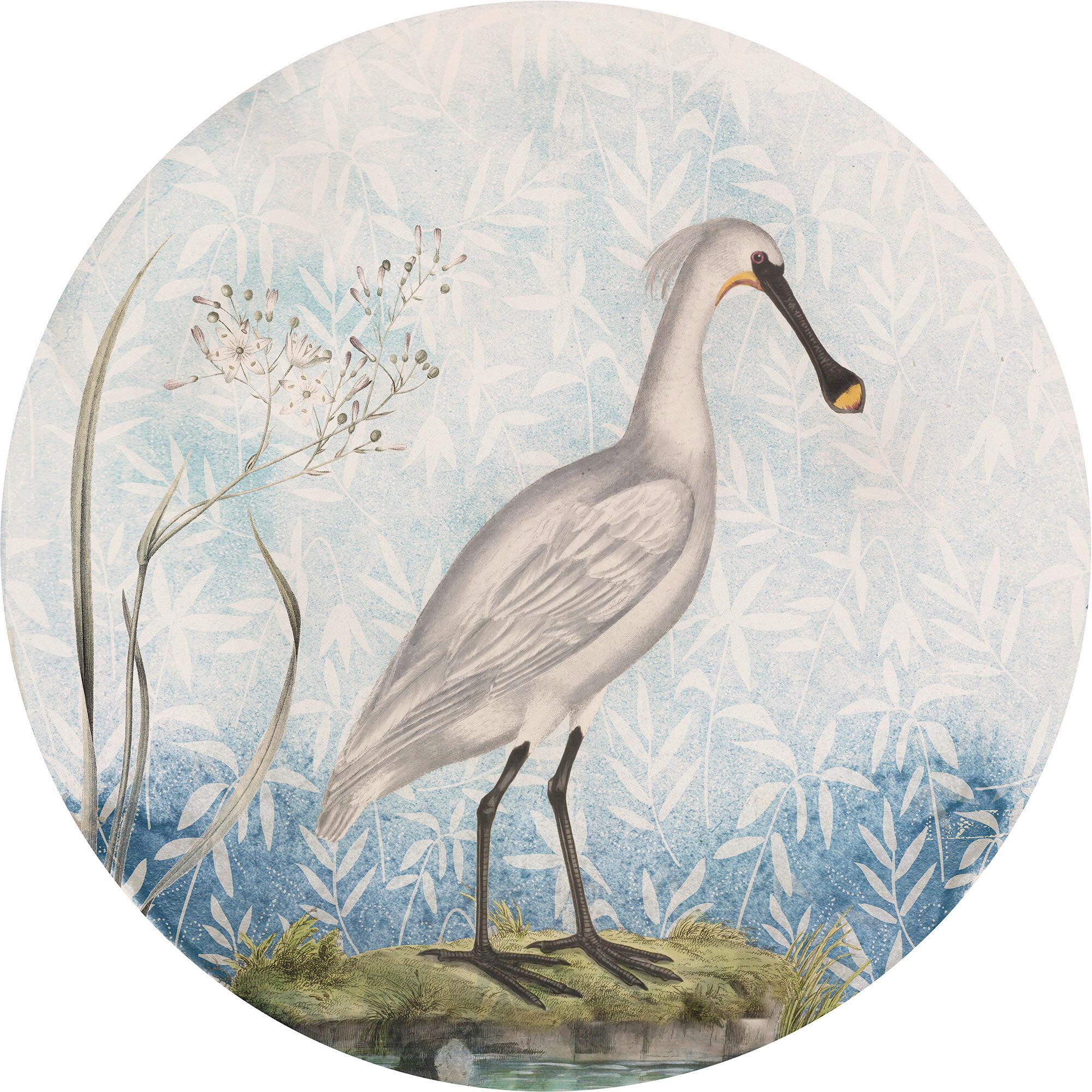 Fototapete 125 cm Vogel 