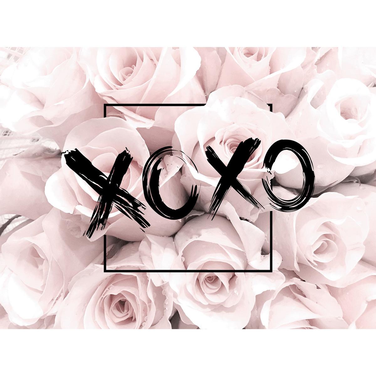 PLAKÁT VINCENT - vícebarevná, papír (30/40cm) - Modern Living