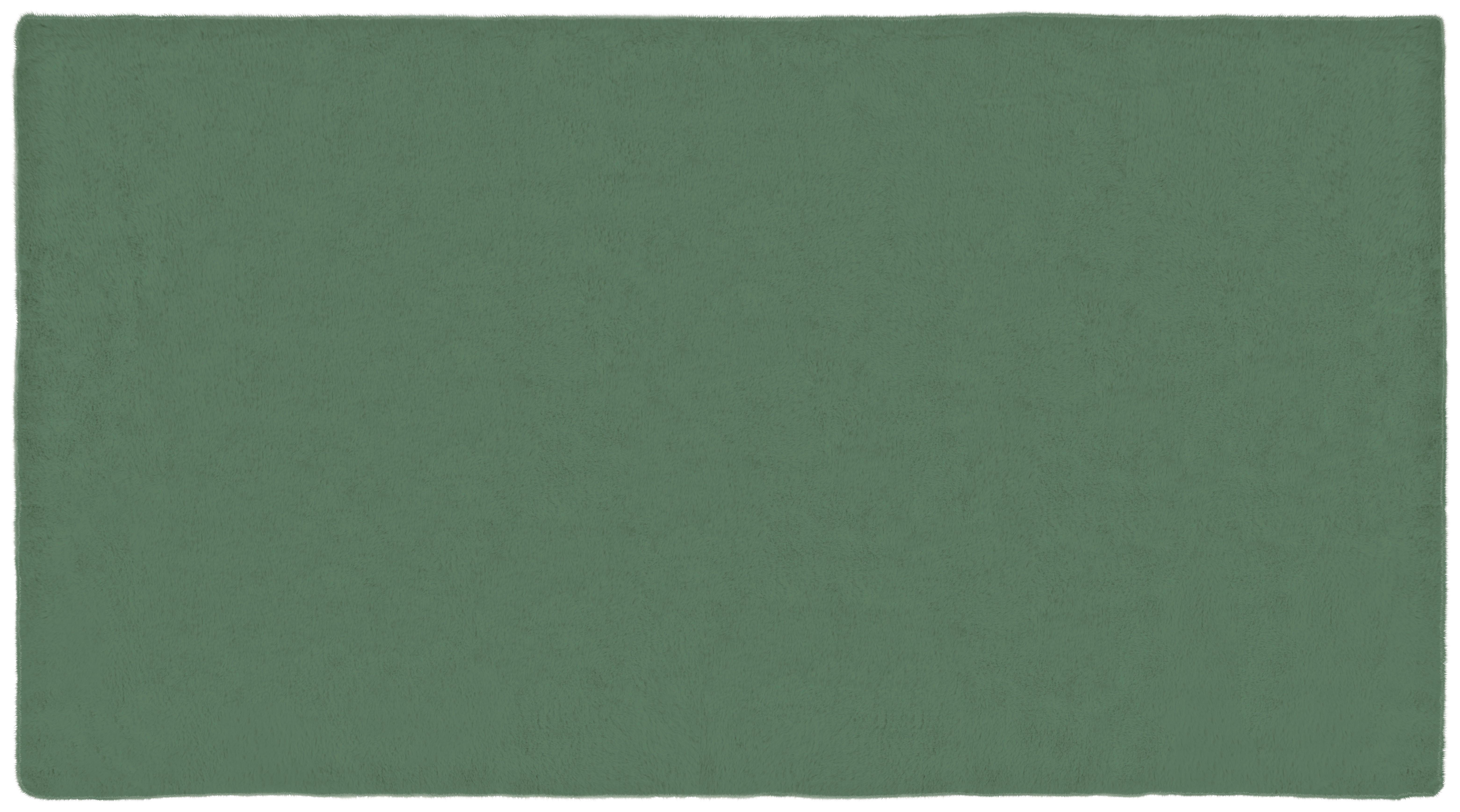 FELLTEPPICH LIRA - Smaragdgrün, MODERN, Textil (160/230cm) - Luca Bessoni