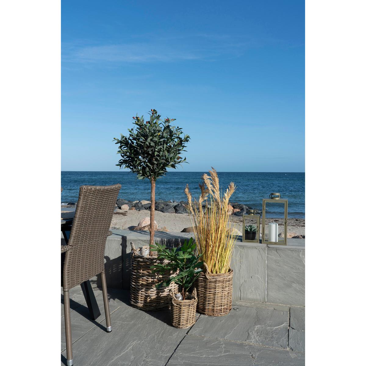 Korbset Sema Braun B: 41 cm - Klar/Braun, Basics, Holz/Kunststoff (41/49/41cm)