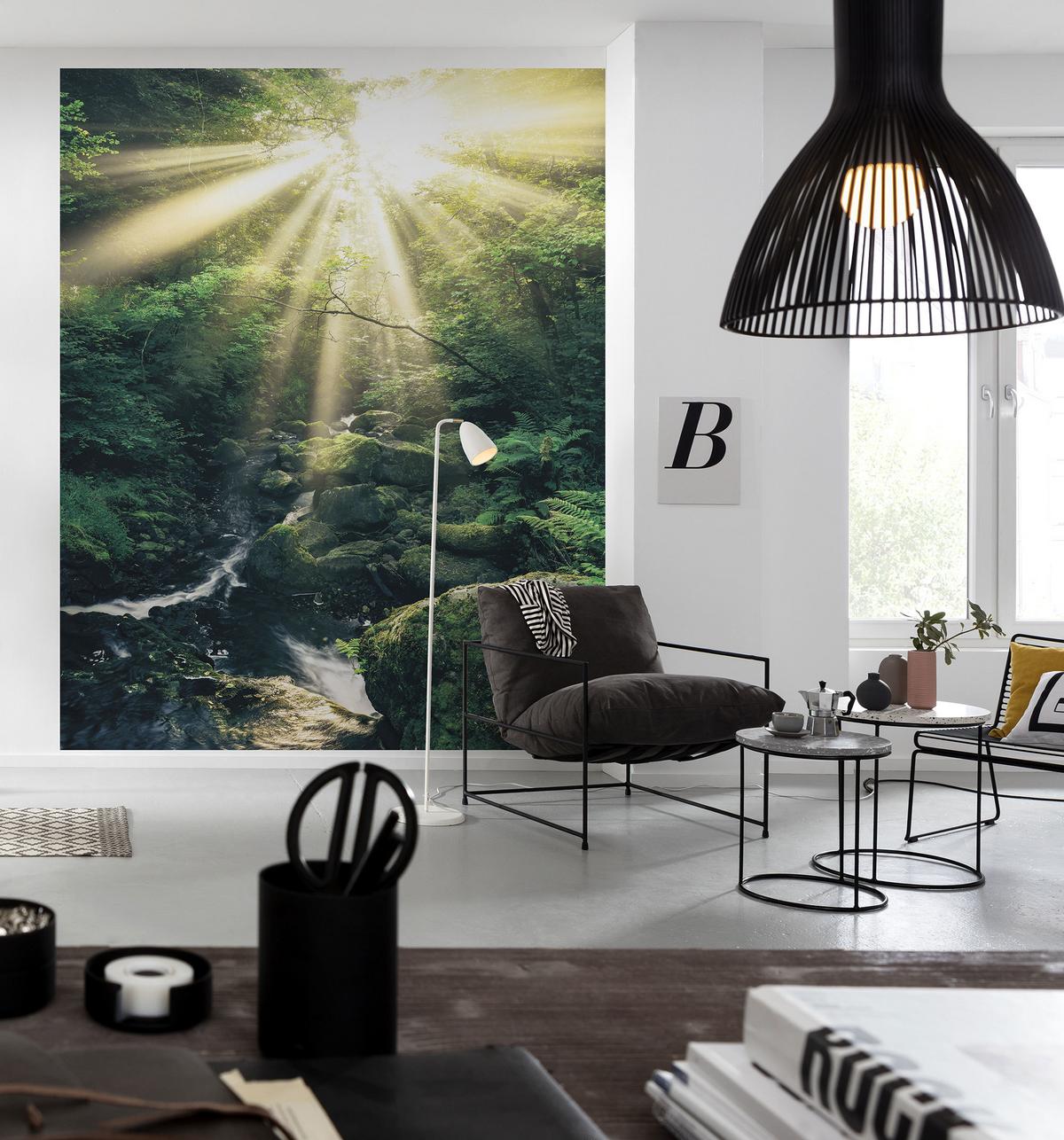 Vliestapete Sh075-Vd2 Divine - Natur (200/250cm)