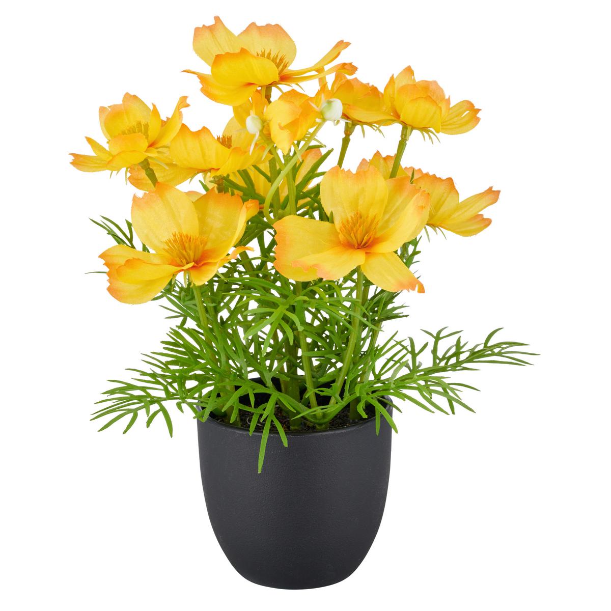 Kunstpflanze Herbstblumen - Gelb/Rot, Basics, Kunststoff (60/160/80cm)