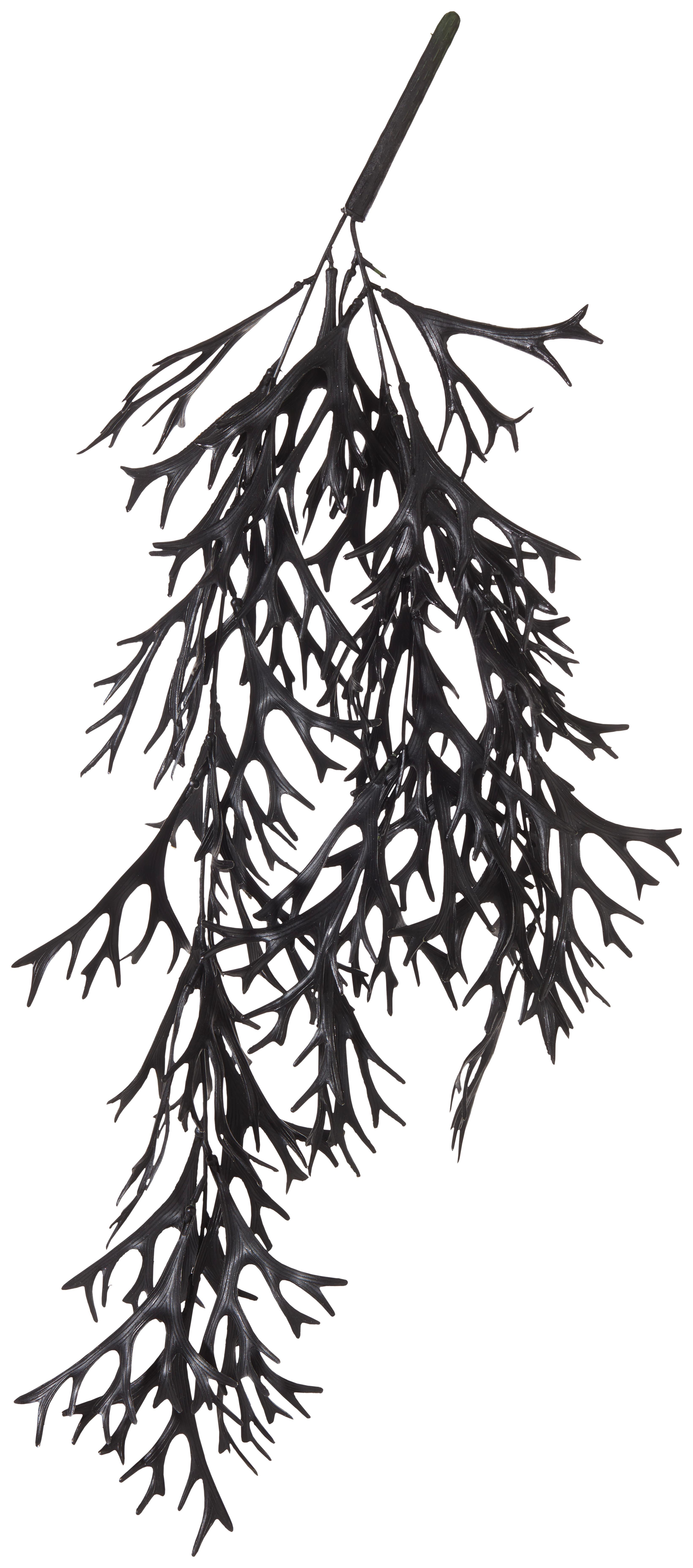 Geweihfarnhänger Tanja, H: ca. 62cm - Schwarz, MODERN, Kunststoff (62cm)
