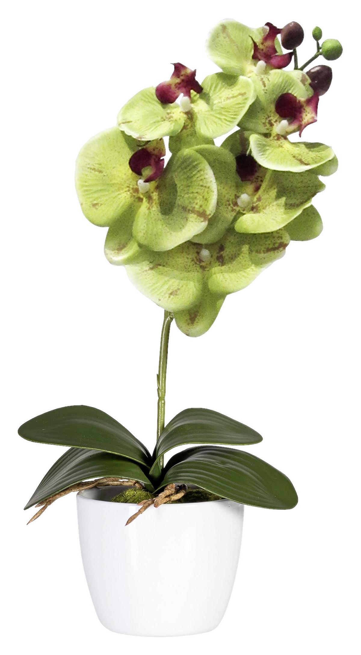 Kunstpflanze Orchidee Bunt L: 40 cm Im Topf, Sofie - Lila/Multicolor, Natur, Kunststoff (40cm)