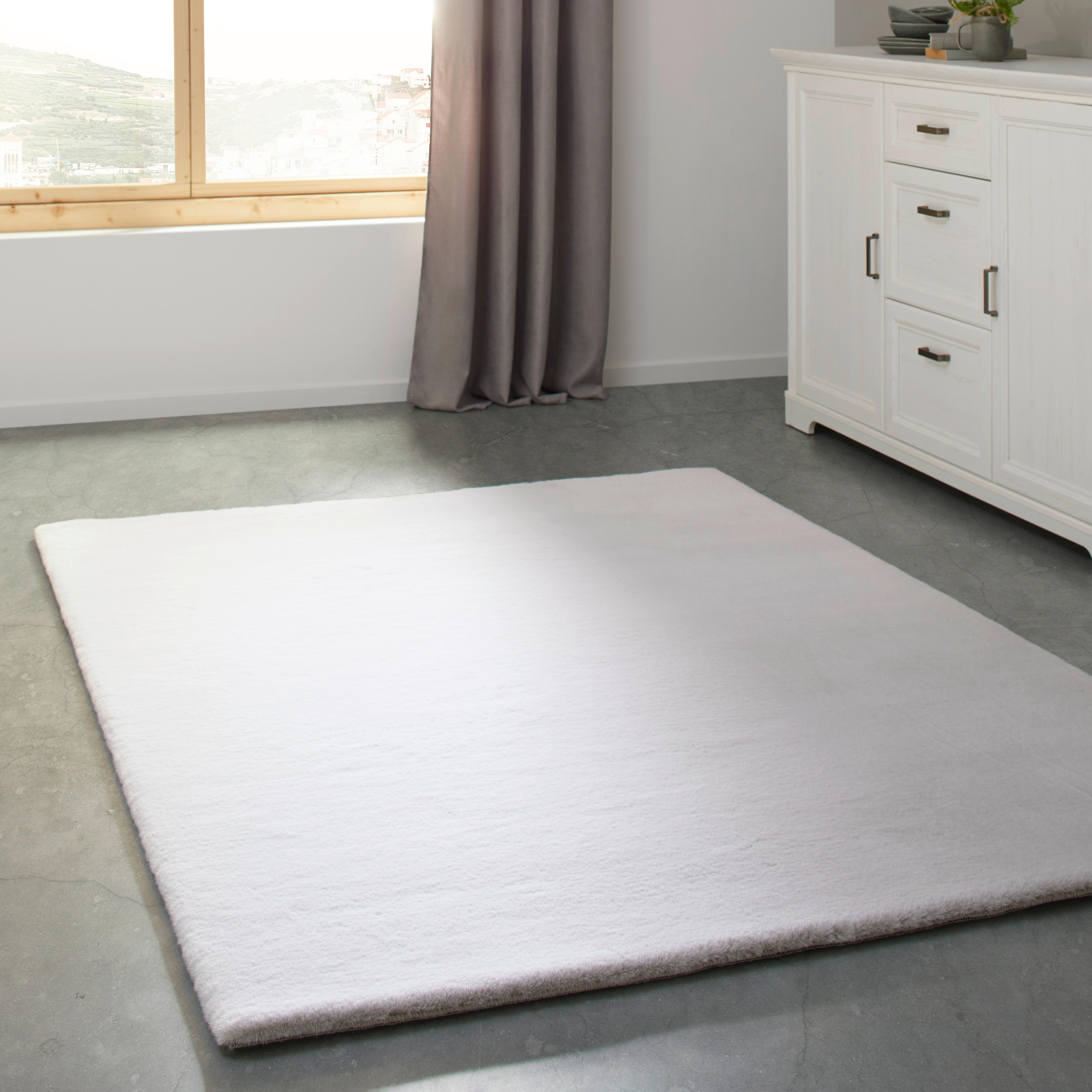 Umelá Kožušina Denise 3, 160/220cm - biela/strieborná, Romantický / Vidiecky, textil/kožušina (160/220cm) - Modern Living