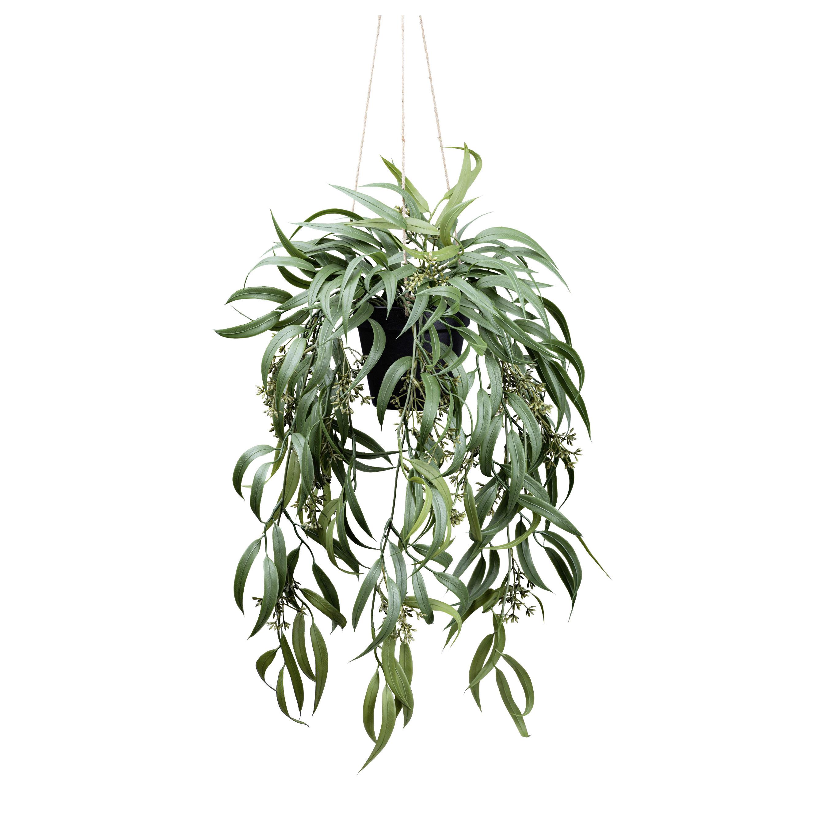 Kunstpflanze, Eukalyptus Dunkelgrün, H: 65 cm - Dunkelgrün/Schwarz, Basics, Kunststoff (65cm) - P & B