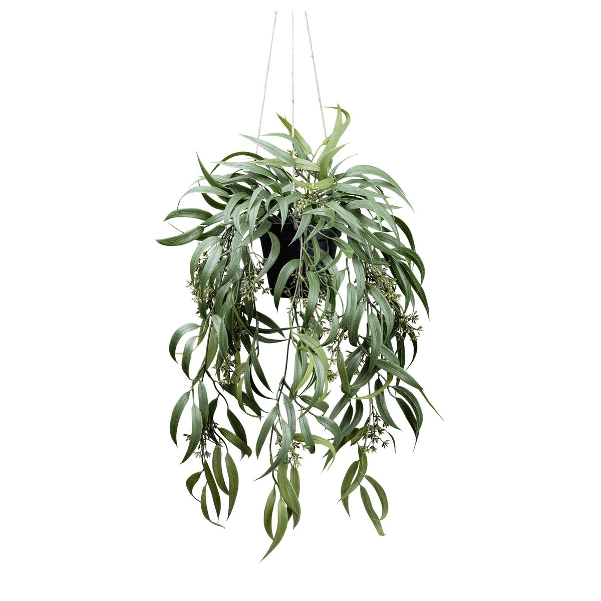 Kunstpflanze, Eukalyptus Dunkelgrün, H: 65 cm - Dunkelgrün/Schwarz, Basics, Kunststoff (65cm) - P & B
