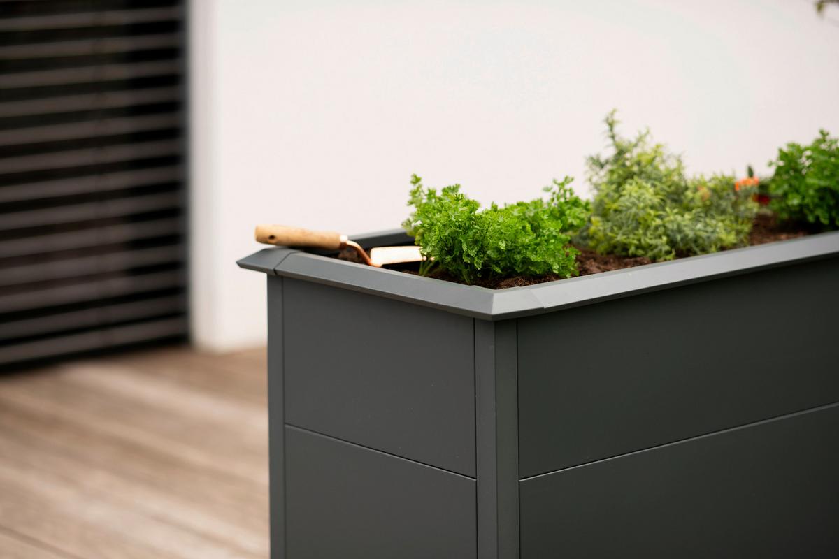 Hochbeet Primus M - Anthrazit, KONVENTIONELL, Metall (50/100/77cm)