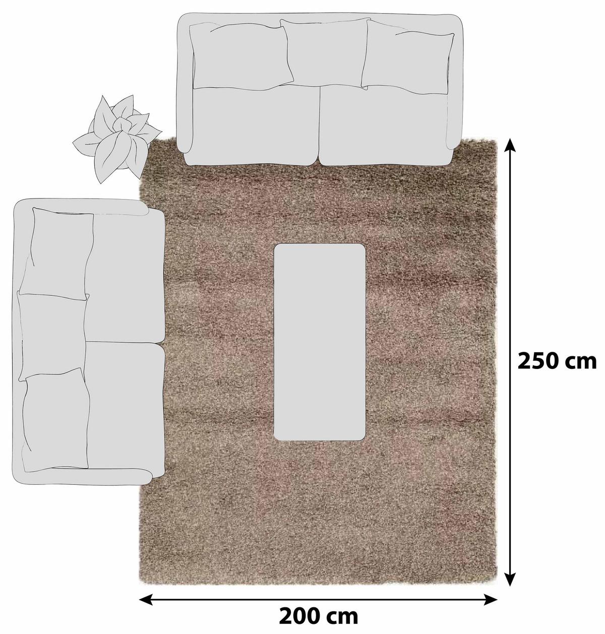 HOCHFLORTEPPICH FASHION SHAGGY - Hellbraun, Basics, Textil (200/250cm) - Novel