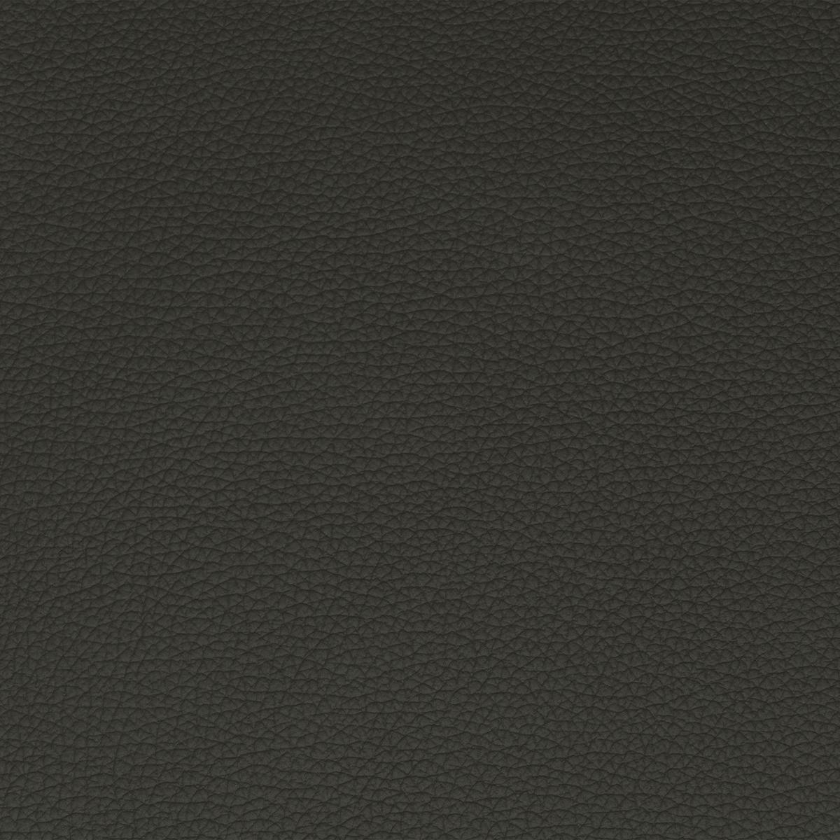 Récamiere Amica E, Anthrazit B: 231 cm - Anthrazit/Schwarz, KONVENTIONELL, Leder (231/90/122cm) - Sit & More