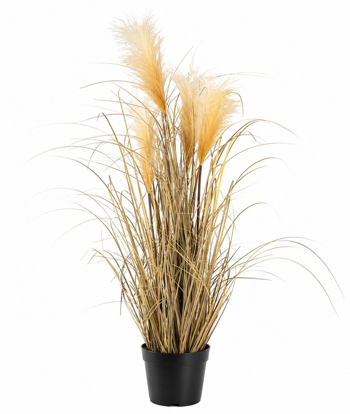 Umelá rastlina Pampová tráva, V: 92cm - prírodná farba, Modern, plast (92cm) - Modern Living