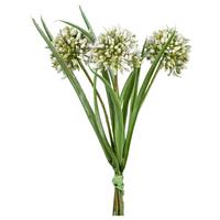 Umělá rostlina Allium, V:28cm,fialová - bílá/zelená, Konvenční, plast (28cm) - Modern Living