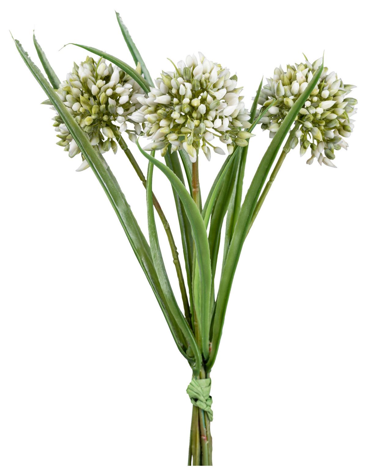 Umělá rostlina Allium, V:28cm,fialová - bílá/zelená, Konvenční, plast (28cm) - Modern Living