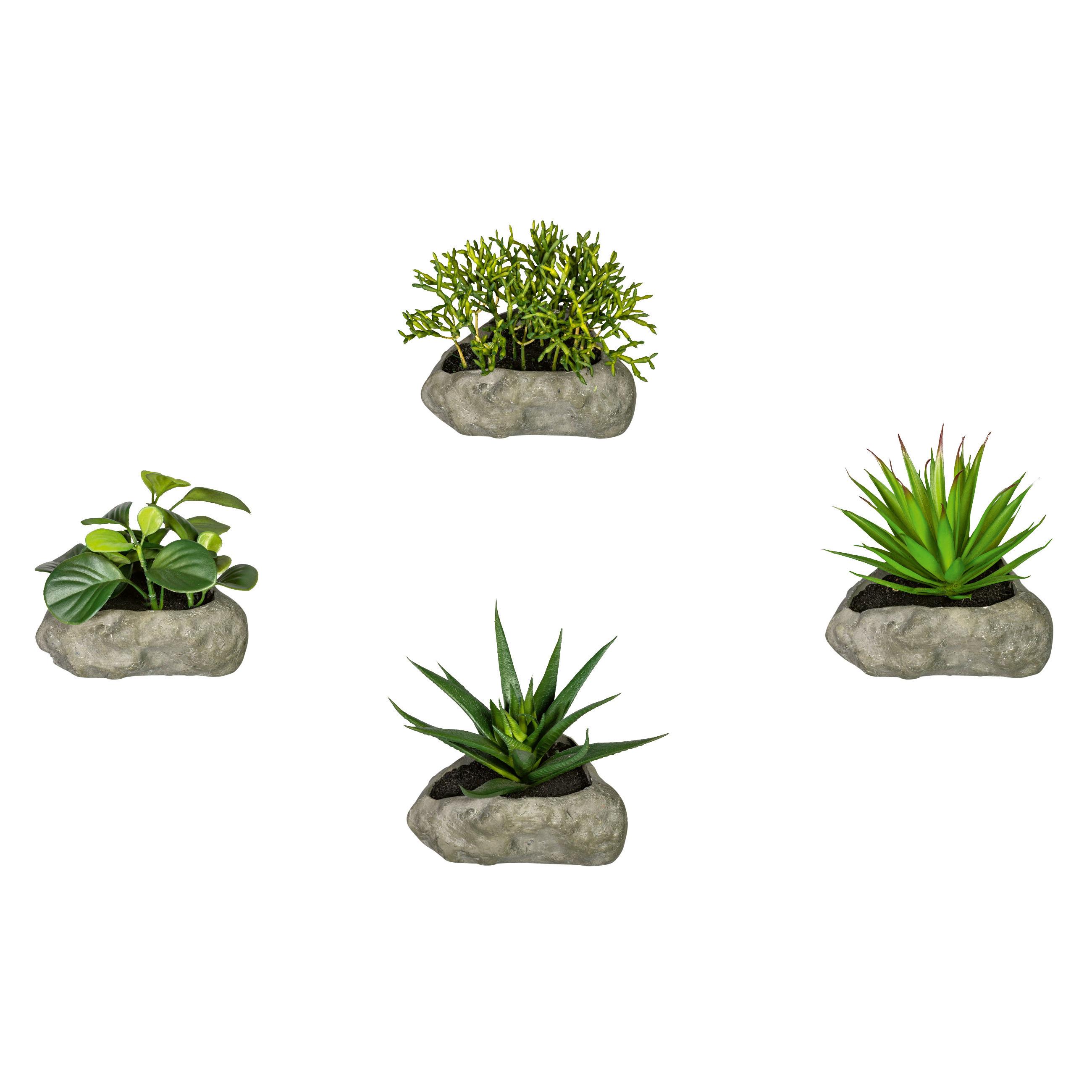 Kunstpflanze Sukkulenten Grün/Grau, 12 cm - Grau/Grün, Design, Kunststoff/Stein (12cm) - P & B