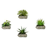 Kunstpflanze Sukkulenten Grün/Grau, 12 cm - Grau/Grün, Design, Kunststoff/Stein (12cm) - P & B