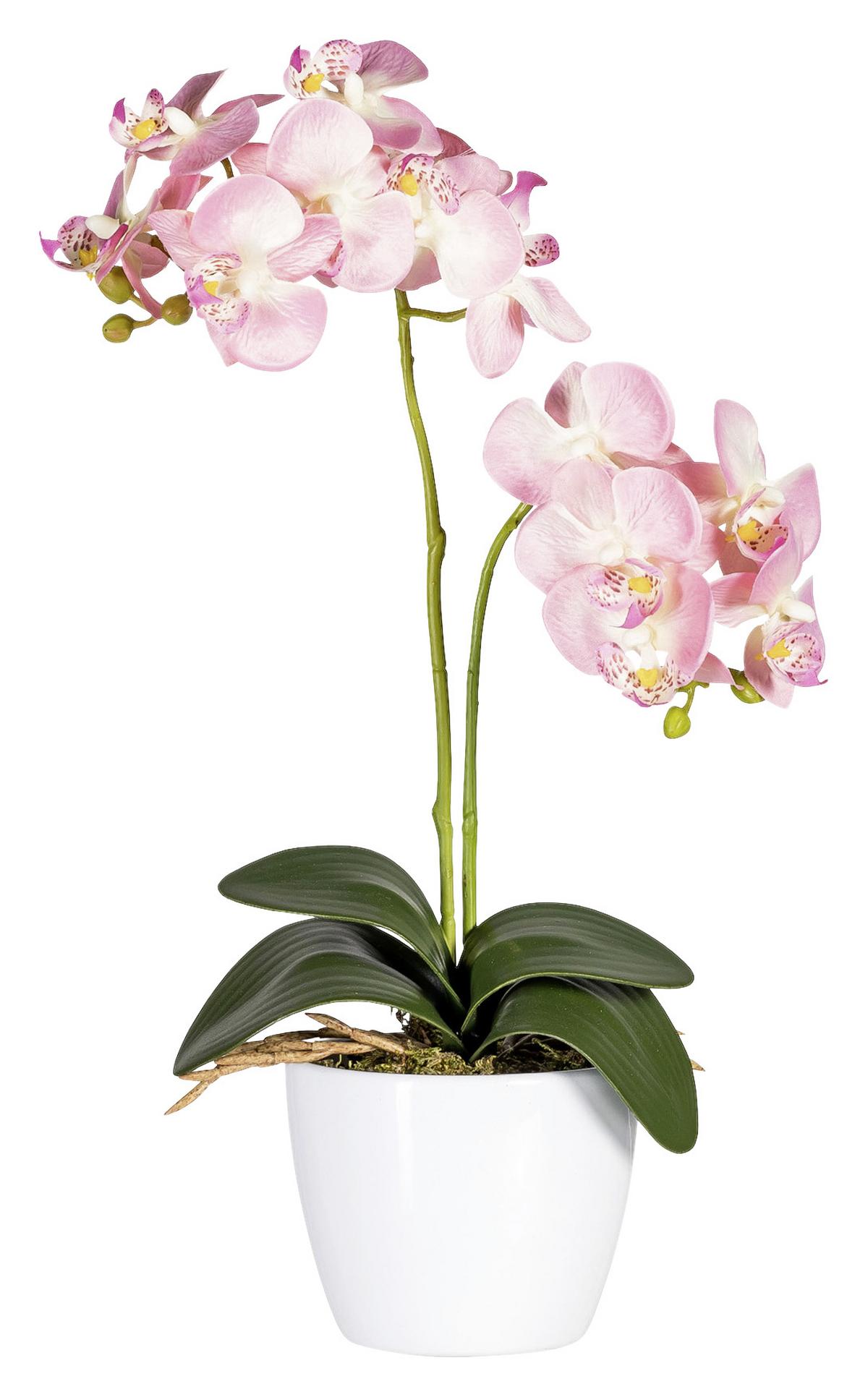 Kunstpflanze Orchidee Bunt L: 40 cm Im Topf, Sofie - Lila/Multicolor, Natur, Kunststoff (40cm)