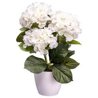 Kunstpflanze Blühpflanzen Weiß/grün, 32 Cm - Weiß/Grün, Design, Kunststoff (32cm) - P & B