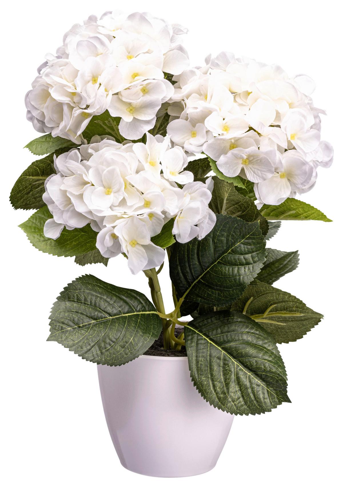 Kunstpflanze Blühpflanzen Weiß/grün, 32 Cm - Weiß/Grün, Design, Kunststoff (32cm) - P & B