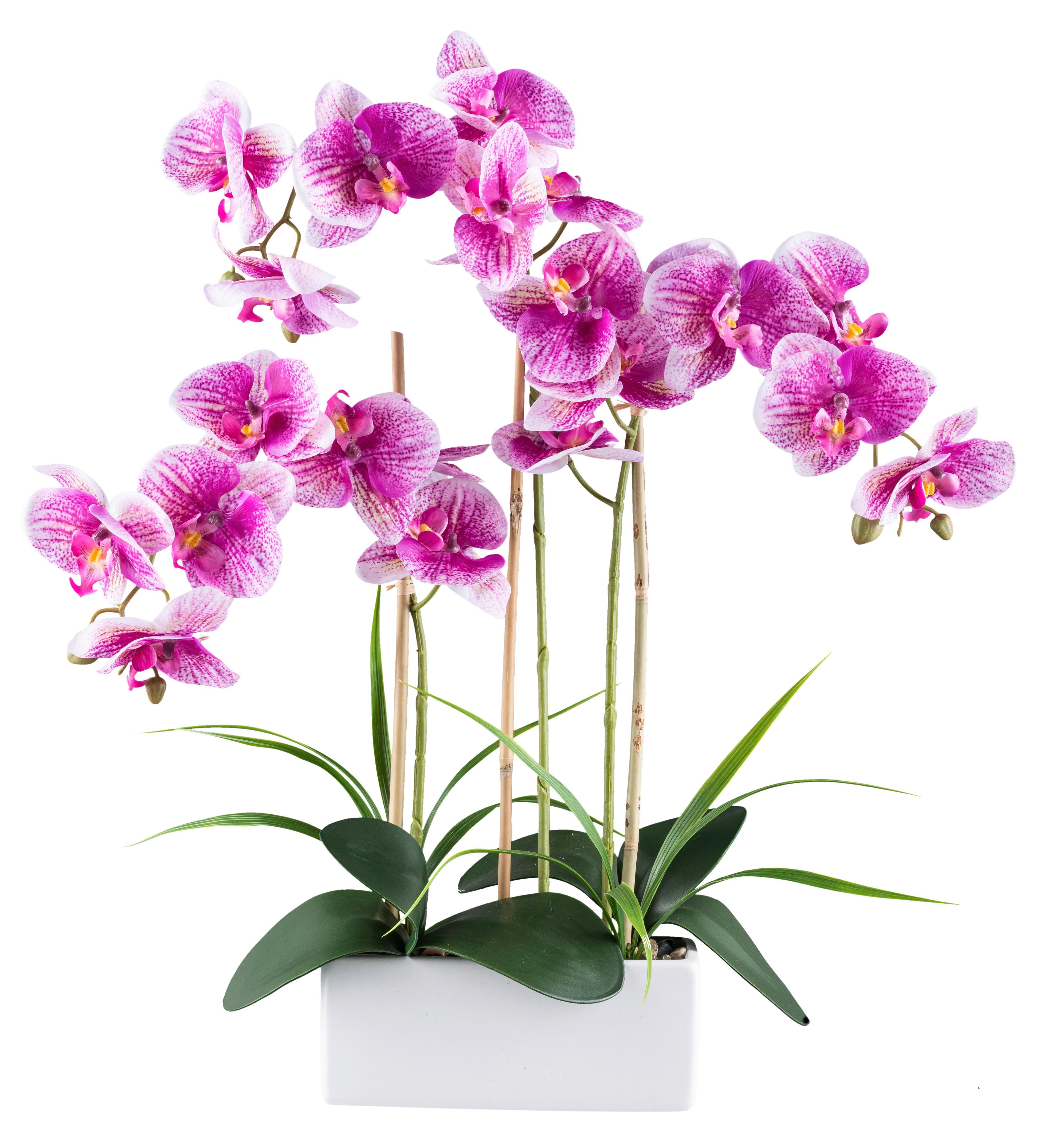 Kunstpflanze Orchideen Grün/weiß/pink, 58 Cm - Pink/Weiß, Design, Keramik/Kunststoff (58cm) - P & B