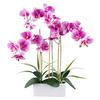 Kunstpflanze Orchideen Grün/weiß/pink, 58 Cm - Pink/Weiß, Design, Keramik/Kunststoff (58cm) - P & B