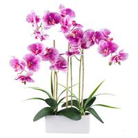 Kunstpflanze Orchideen Grün/weiß/pink, 58 Cm - Pink/Weiß, Design, Keramik/Kunststoff (58cm) - P & B