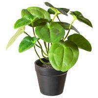 Umelá rastlina V: 21cm - hnedá/čierna, Basics, plast (21cm) - Modern Living