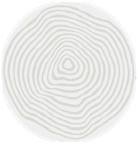 Webteppich Elio 2325 160-Cream - Creme, Basics, Textil (120cm)