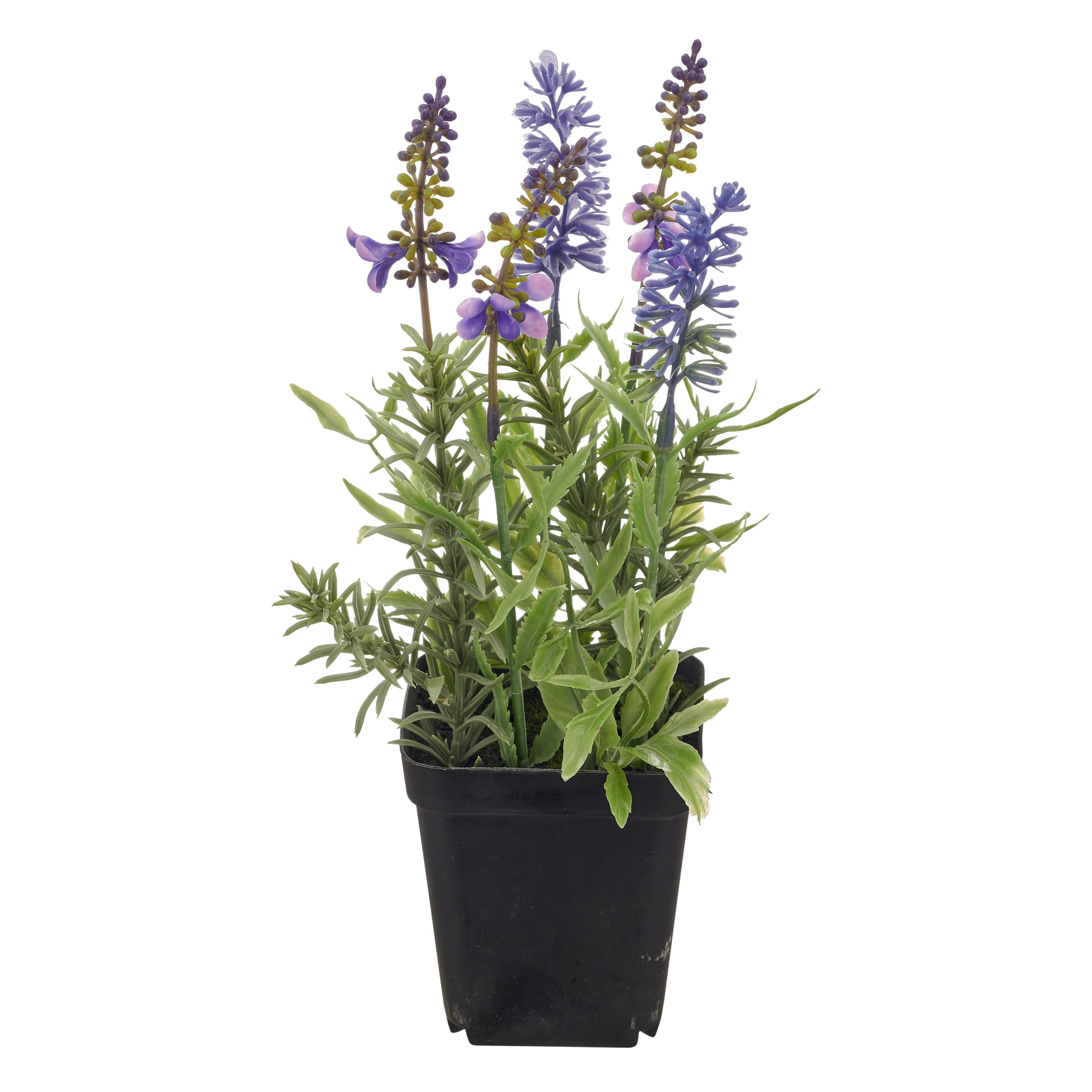 Umelý kvet levanduľa LAVENDEL II -PAZ- - lila/čierna, Basics, kov/plast (25cm) - Mömax
