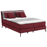 Boxspringbett Orta 140x200 cm Bordeaux - Bordeaux/Hellgrau, MODERN, Textil (140/200cm) - Carryhome