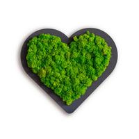 Moosbild Grün B: 20 Cm - Schwarz/Grün, Basics, Naturmaterialien/Holz (20/22/3cm)