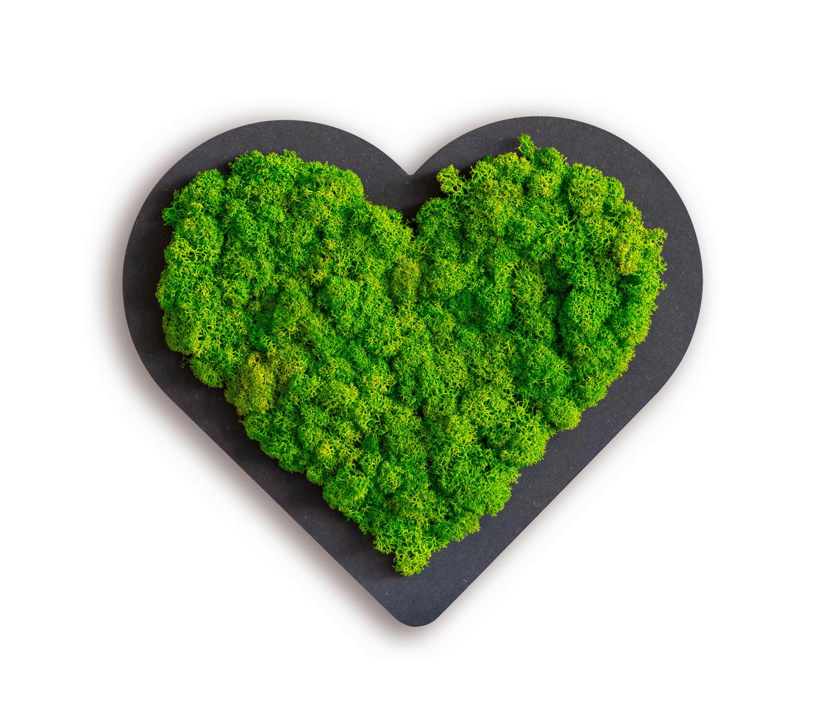 Moosbild Grün B: 20 Cm - Schwarz/Grün, Basics, Naturmaterialien/Holz (20/22/3cm)