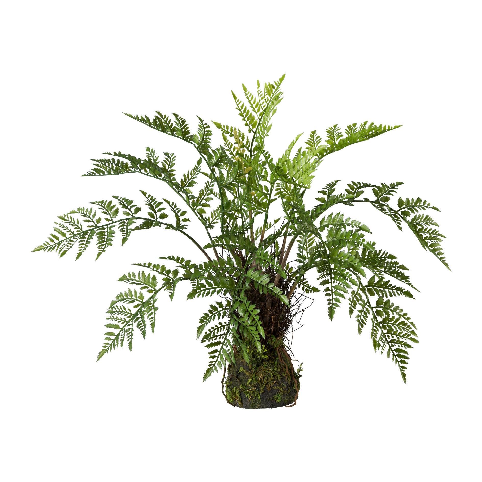Kunstpflanze Farn Braun L: 50 cm - Braun/Grün, Trend, Kunststoff (60/50cm) - P & B