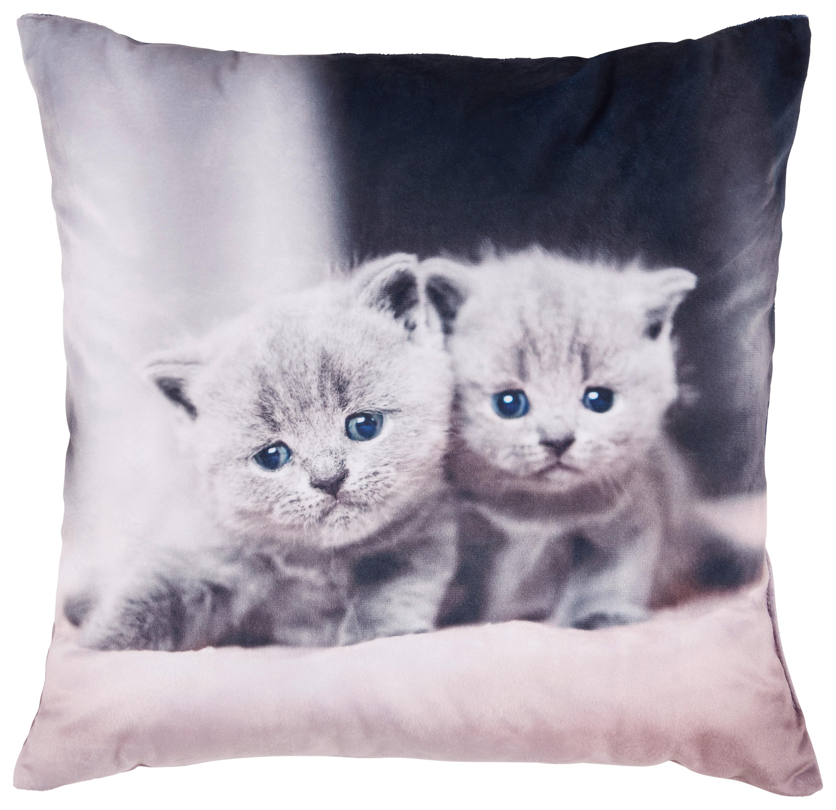 Zierkissen Cat - MODERN, Textil (40/40cm) - Luca Bessoni