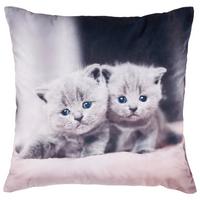 Zierkissen Cat - MODERN, Textil (40/40cm) - Luca Bessoni