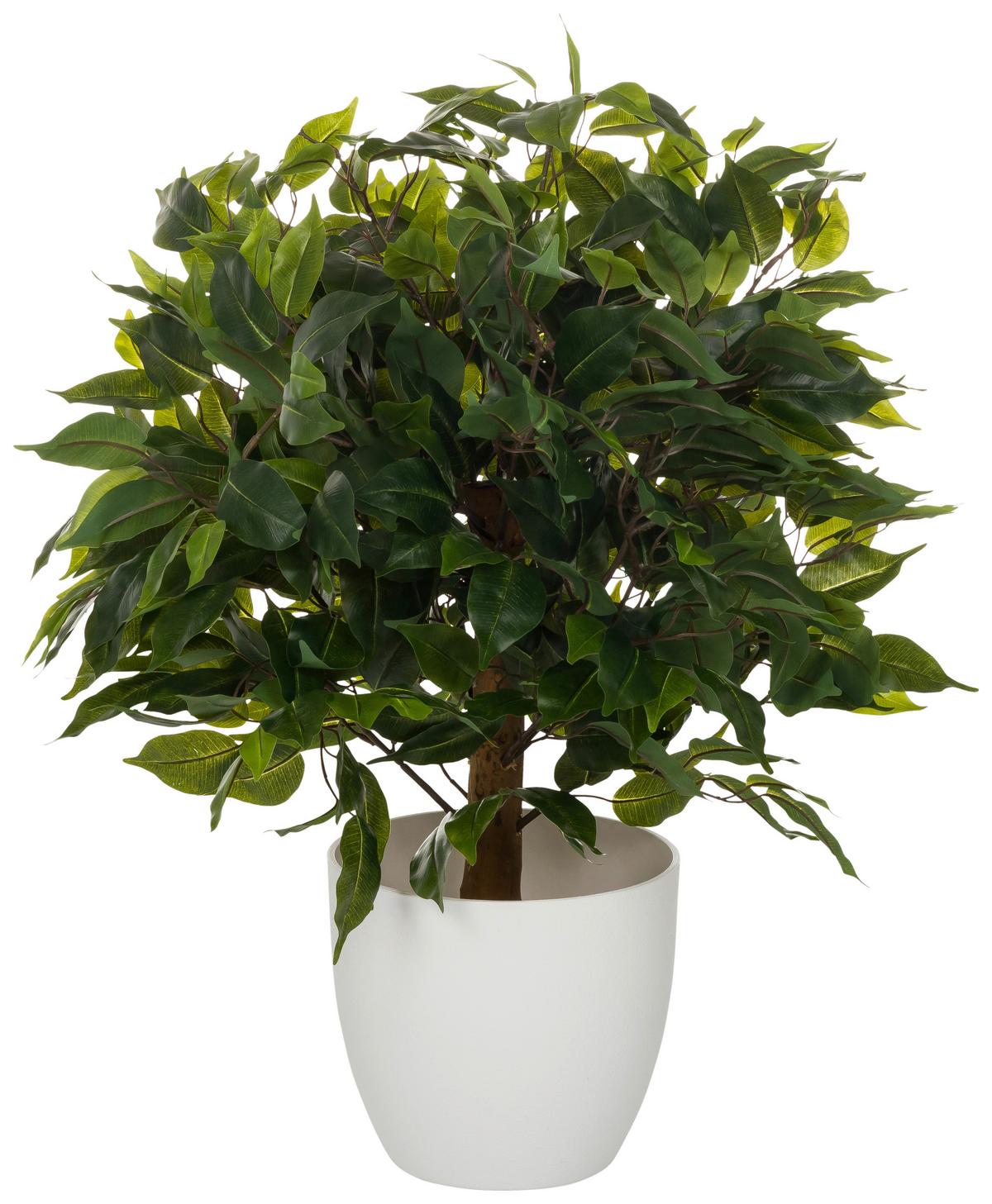 Kunstpflanze Grün/braun B: 40 Cm - Weiß/Braun, MODERN, Kunststoff (40/65/40cm) - MID.YOU