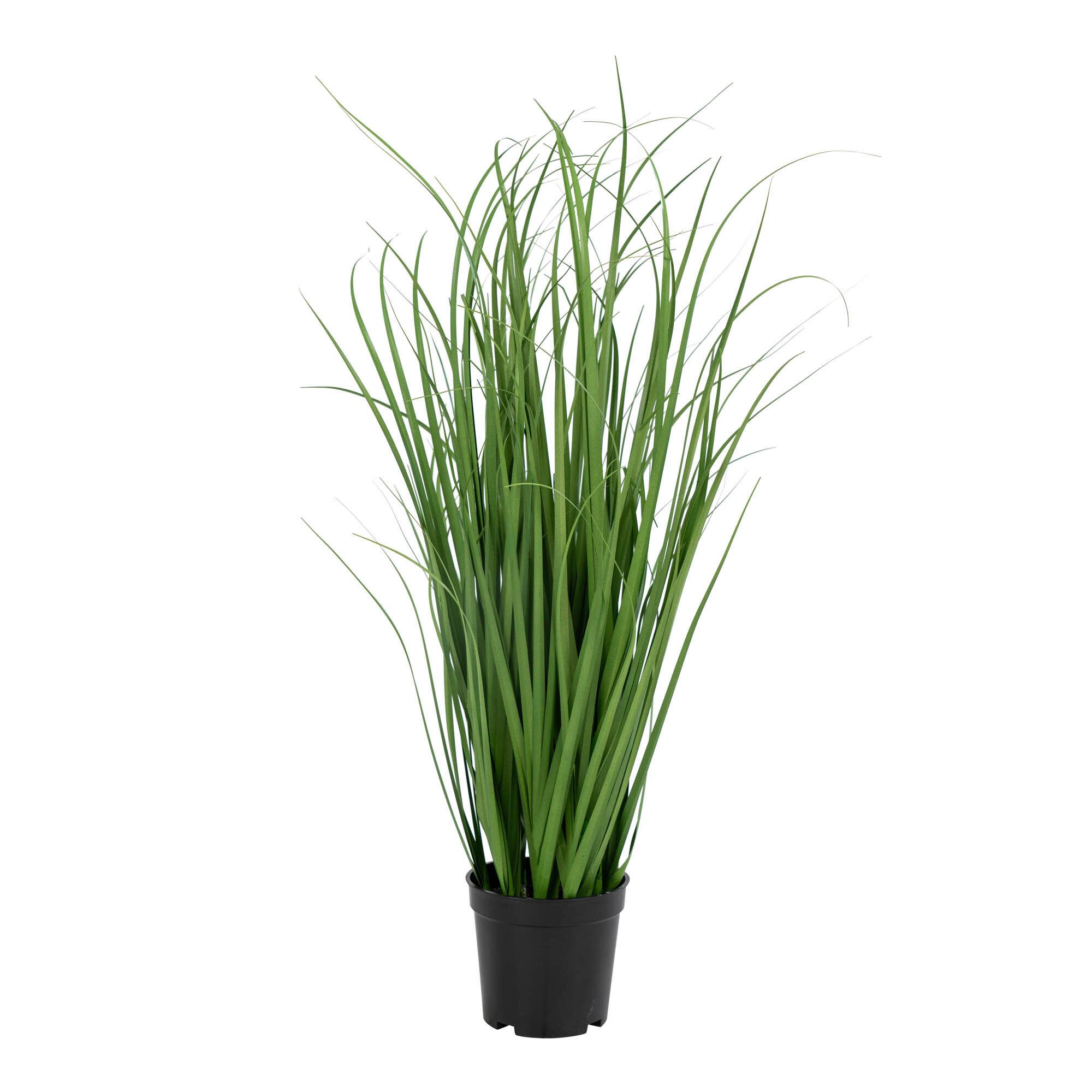 Kunstpflanze Grün Schwarz H: 68 cm - Schwarz/Grün, Basics, Kunststoff (68cm)